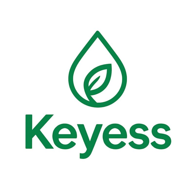 Keyess