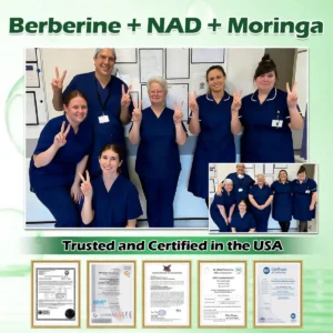 Purelora® Moringa Berberine × NAD⁺ 10-in-1 Nano Microneedle Patch