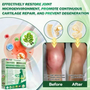 Purelora® Moringa Berberine × NAD⁺ 10-in-1 Nano Microneedle Patch